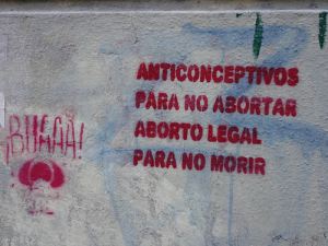 Pintada en Buenos Aires, Argentina, fotografiada por gaviota paseandera