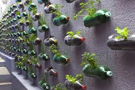 Huerto vertical en botellas de plástico